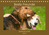 Buchcover Beste Freunde - Spielende Hunde (Tischkalender 2023 DIN A5 quer)