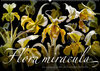 Buchcover Flora miracula - Die wundersame Welt des Fotografen Olaf Bruhn (Wandkalender 2023 DIN A2 quer)