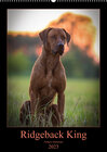 Buchcover Ridgeback King - Arthurs Abenteuer (Wandkalender 2023 DIN A2 hoch)