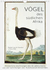 Buchcover Vögel des südlichen Afrika (Wandkalender 2023 DIN A4 hoch)