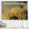 Buchcover Pusteblumen im Morgentau (Premium, hochwertiger DIN A2 Wandkalender 2023, Kunstdruck in Hochglanz)