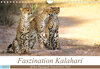 Buchcover Faszination Kalahari (Wandkalender 2023 DIN A4 quer)