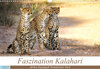 Buchcover Faszination Kalahari (Wandkalender 2023 DIN A3 quer)