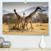 Buchcover Serengeti - auf den Spuren eines Zoologen (Premium, hochwertiger DIN A2 Wandkalender 2023, Kunstdruck in Hochglanz)