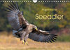 Buchcover Majestätische Seeadler (Wandkalender 2023 DIN A4 quer)