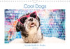 Buchcover Cool Dogs - Hunde-Spaß im Studio (Wandkalender 2023 DIN A4 quer)