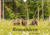 Buchcover Braunbären in Europa (Wandkalender 2023 DIN A4 quer)