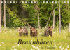 Buchcover Braunbären in Europa (Tischkalender 2023 DIN A5 quer)
