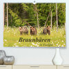Buchcover Braunbären in Europa (Premium, hochwertiger DIN A2 Wandkalender 2023, Kunstdruck in Hochglanz)