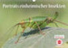 Buchcover GEOclick Lernkalender: Porträts einheimischer Insekten (Wandkalender 2023 DIN A3 quer)
