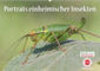 Buchcover GEOclick Lernkalender: Porträts einheimischer Insekten (Wandkalender 2023 DIN A2 quer)