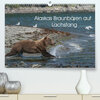Buchcover Grizzlybären im Katmai Nationalpark Alaska (Premium, hochwertiger DIN A2 Wandkalender 2023, Kunstdruck in Hochglanz)