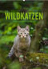 Buchcover Wildkatzen - Kleine Samtpfoten des Waldes (Wandkalender 2023 DIN A2 hoch)