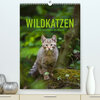 Buchcover Wildkatzen - Kleine Samtpfoten des Waldes (Premium, hochwertiger DIN A2 Wandkalender 2023, Kunstdruck in Hochglanz)