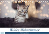 Buchcover Wildes Wohnzimmer - Die Bengalkatze (Tischkalender 2023 DIN A5 quer)
