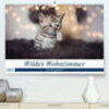 Buchcover Wildes Wohnzimmer - Die Bengalkatze (Premium, hochwertiger DIN A2 Wandkalender 2023, Kunstdruck in Hochglanz)