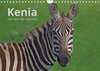 Buchcover Kenia - Die Tiere der Savanne (Wandkalender 2023 DIN A4 quer)