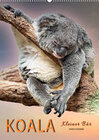 Buchcover Koala, kleiner Bär (Wandkalender 2023 DIN A2 hoch)