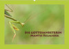 Buchcover Die Gottesanbeterin Mantis Religiosa (Wandkalender 2023 DIN A2 quer)