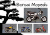 Buchcover Bonsai Mopeds (Wandkalender 2023 DIN A3 quer)