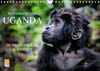 Buchcover UGANDA - Berggorillas & Chimps (Wandkalender 2023 DIN A4 quer)