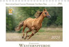 Buchcover Faszination Westernpferde (Tischkalender 2023 DIN A5 quer)