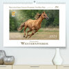 Buchcover Faszination Westernpferde (Premium, hochwertiger DIN A2 Wandkalender 2023, Kunstdruck in Hochglanz)