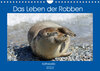 Buchcover Das Leben der Robben (Wandkalender 2023 DIN A4 quer)