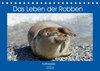 Buchcover Das Leben der Robben (Tischkalender 2023 DIN A5 quer)