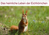 Buchcover Das heimliche Leben der Eichhörnchen (Wandkalender 2023 DIN A4 quer)