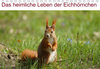 Buchcover Das heimliche Leben der Eichhörnchen (Tischkalender 2023 DIN A5 quer)