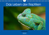 Buchcover Das Leben der Reptilien (Wandkalender 2023 DIN A4 quer)
