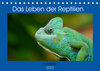 Buchcover Das Leben der Reptilien (Tischkalender 2023 DIN A5 quer)