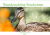 Buchcover Wunderschöne Stockenten - Europäische Wasservögel (Wandkalender 2023 DIN A2 quer)