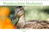 Buchcover Wunderschöne Stockenten - Europäische Wasservögel (Tischkalender 2023 DIN A5 quer)