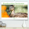 Buchcover Wunderschöne Stockenten - Europäische Wasservögel (Premium, hochwertiger DIN A2 Wandkalender 2023, Kunstdruck in Hochgla