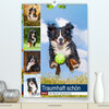 Buchcover Traumhaft schön - Der Berner Sennenhund (Premium, hochwertiger DIN A2 Wandkalender 2023, Kunstdruck in Hochglanz)