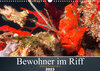 Buchcover Bewohner im Riff (Wandkalender 2023 DIN A3 quer)