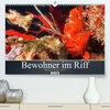 Buchcover Bewohner im Riff (Premium, hochwertiger DIN A2 Wandkalender 2023, Kunstdruck in Hochglanz)