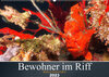 Buchcover Bewohner im Riff (Wandkalender 2023 DIN A2 quer)