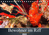 Buchcover Bewohner im Riff (Tischkalender 2023 DIN A5 quer)