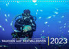 Buchcover Die schönsten Korallenriffe zum Tauchen auf den Malediven (Wandkalender immerwährend DIN A4 quer)