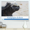 Buchcover Galapagos Echsen (Premium, hochwertiger DIN A2 Wandkalender 2023, Kunstdruck in Hochglanz)
