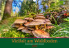 Buchcover Vielfalt am Waldboden (Wandkalender 2023 DIN A3 quer)