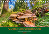 Buchcover Vielfalt am Waldboden (Tischkalender 2023 DIN A5 quer)