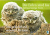 Buchcover Die Eulen sind los: Edition lustige Tiere (Wandkalender 2023 DIN A3 quer)