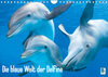 Buchcover Die blaue Welt der Delfine (Wandkalender 2023 DIN A4 quer)