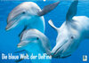 Buchcover Die blaue Welt der Delfine (Wandkalender 2023 DIN A2 quer)
