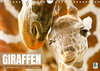 Buchcover Giraffen: die afrikanischen Tiere mit Weitblick (Wandkalender 2023 DIN A4 quer)