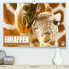 Buchcover Giraffen: die afrikanischen Tiere mit Weitblick (Premium, hochwertiger DIN A2 Wandkalender 2023, Kunstdruck in Hochglanz
